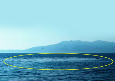 Ayvacık'taki ürküten görüntünün nedeni ne?