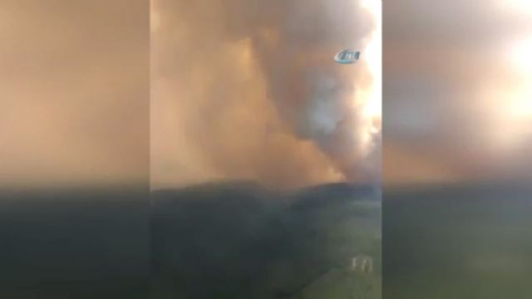 Sibirya'daki orman yangınları büyüyor