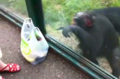 Bu hareketi hem şaşırttı hem güldürdü