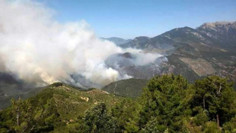 Anamur'da orman yangını