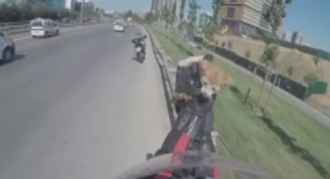 Yavru kediyi kurtarmak için canını hiçe saydı