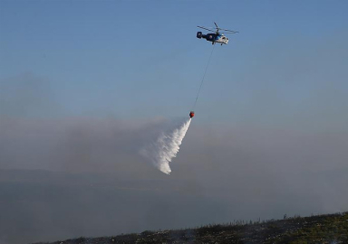 Orman Genel Müdürü: İzmir'de 500 hektarın üzerinde bir alan yangından zarar gördü