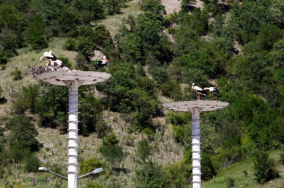 Dünyada örneği yok