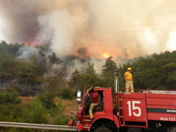 İzmir'in ciğerini yakan yangında 'içki şişesi' şüphesi