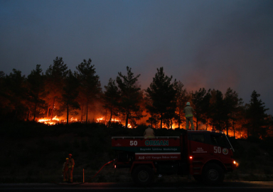 İzmir, Çanakkale ve Mersin'de 1030 hektar orman kül oldu