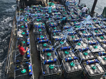 Umman'a doğru yola çıktı: Tam 1 milyon 200 bin adet!