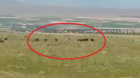 Köye böyle indiler