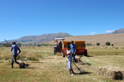 Çiftçilikte ot sırtlama dönemi bitti