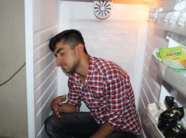 Buzdolabına girerek serinliyor