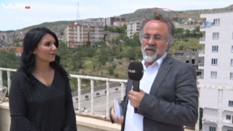 Canlı yayında muhabire kuş sürprizi