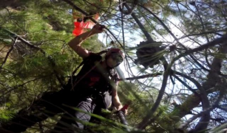 Paraşütçü ağaçlara daldı