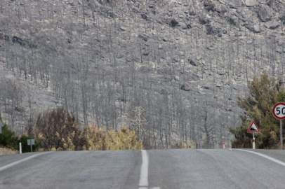 Alevler ormanı bu hale getirdi