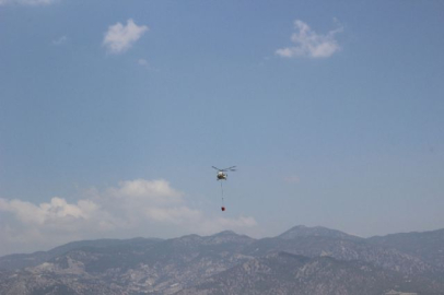 Denizli'deki orman yangını söndürüldü