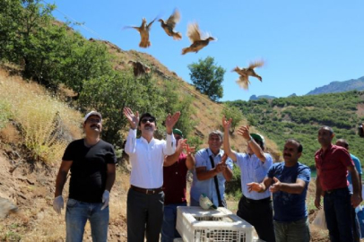 Doğaya 59 bin kınalı keklik