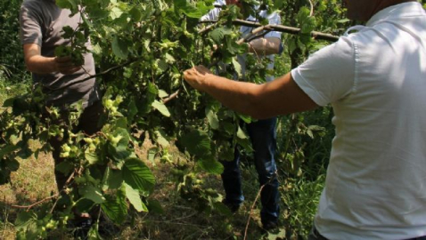 Türkiye'de 90 gün izinsiz çalışabilecekler