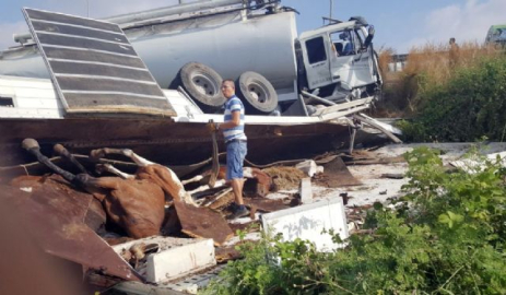 At yüklü kamyon kaza yaptı: 2 yaralı