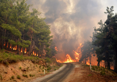 İzmir'deki yangın Manisa'ya ulaştı