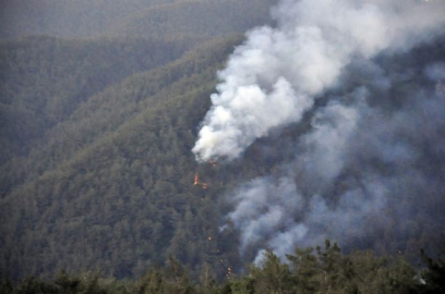 Hatay'da orman yangını sürüyor