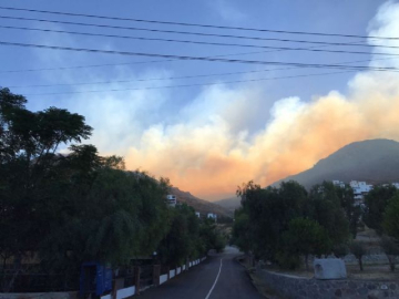 Bodrum'daki yangında 20 hektar alanı kül oldu