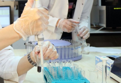 Biyogüvenlik Kurulundan 'GDO' kararı