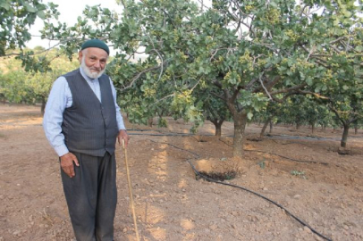 Babasının sözünü dinledi, 45 yıldır geçimini sağlıyor