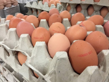 Böcek ilaçlı yumurtalara Hong Kong ve İsviçre'de de rastlandı