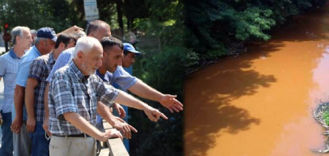 Mahalleliyi çileden çıkarttı