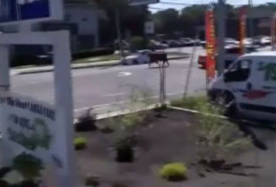 New York sokaklarından 'kurbanlık' kovalamacası