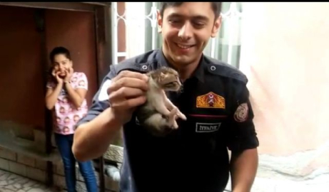 Otomobilin motorundan 5 yavru kedi çıktı