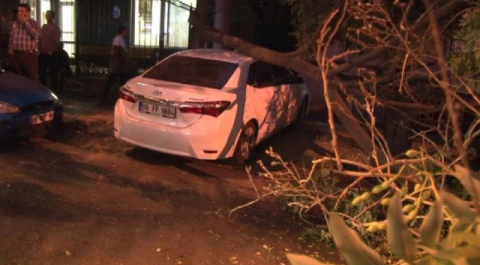 Seyir halindeki otomobilin üzerine ağaç devrildi
