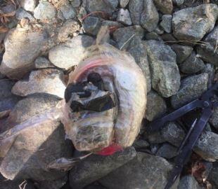 Teröristlerin tuzakladığı patlayıcı imha edildi