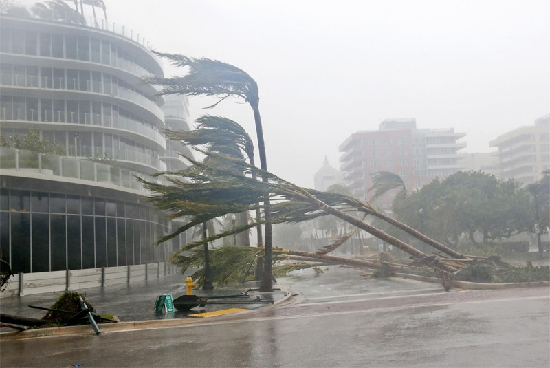 1806412_15_1505107589iiMig