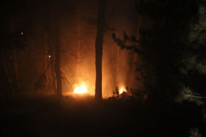 Kütahya'daki orman yangını kontrol altına alındı