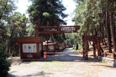 Bu park kendi elektriğini kendisi üretiyor