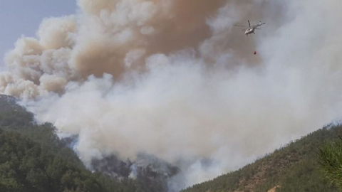 Kütahya'da ikinci orman yangını