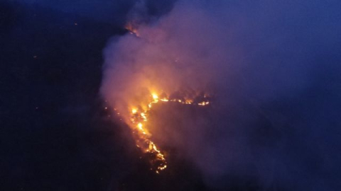 Yangın 100 hektara yakın alanda etkili oldu