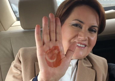 Akşener’in 'kınalı eli' partinin logosu oluyor