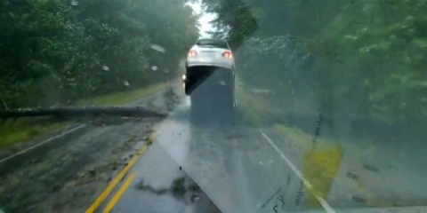 Dev ağaç cipin önüne devrildi