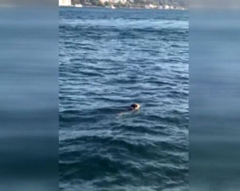 Bobby'nin Boğaz sefası