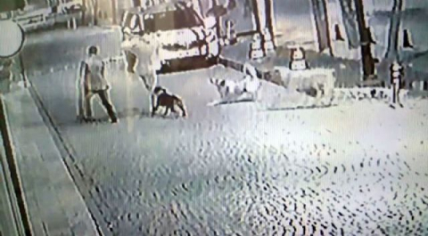 Sokak köpekleri bir genci böyle ısırdı