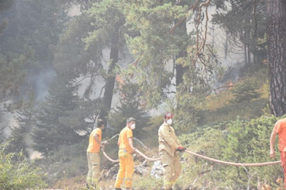 Bozüyük'te yangın 4'üncü gününde