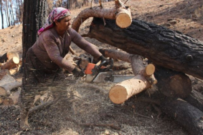Yanan ormanlar onların ekmek kapısı