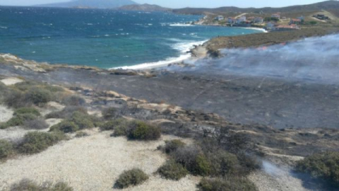 Avşa'da arazi yangını