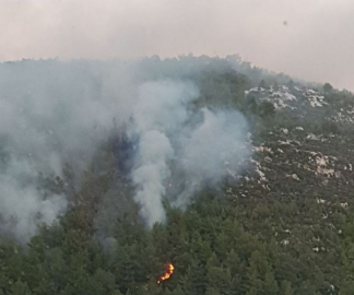 Milas'ta çıkan orman yangını kontrol altına alındı