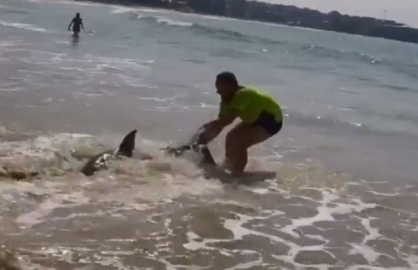 Köpek balığını kuyruğundan çekerek suya bıraktı