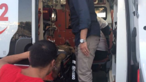 Uyuşturucunun etkisiyle denize giren şahıs son anda kurtarıldı