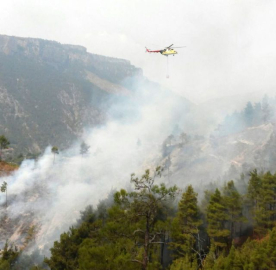 Yangına havadan ve karadan müdahale ediliyor