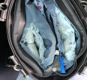 Tam 5 kilo : Çanta astarından çıktı