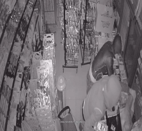 Büfe fareleri yakalandı