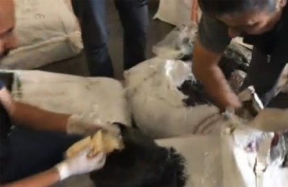 İskenderun Limanı'nda 3 milyon 600 bin TL hap ele geçirildi.